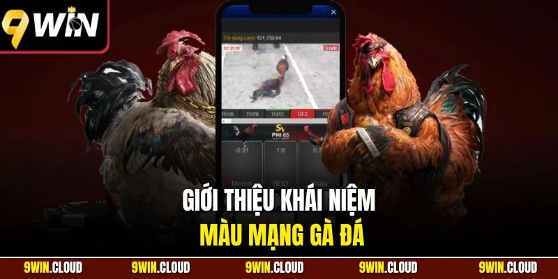 Giới thiệu khái niệm màu mạng gà đá