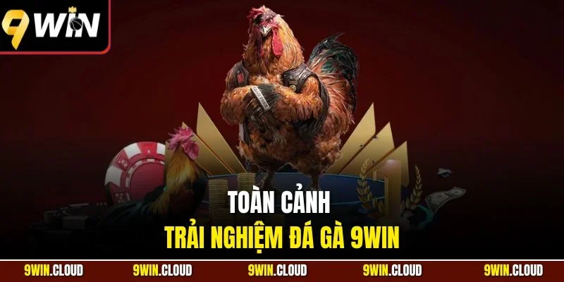 Toàn cảnh trải nghiệm đá gà 9Win