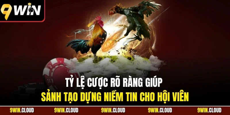 Tỷ lệ cược rõ ràng giúp sảnh tạo dựng niềm tin cho hội viên